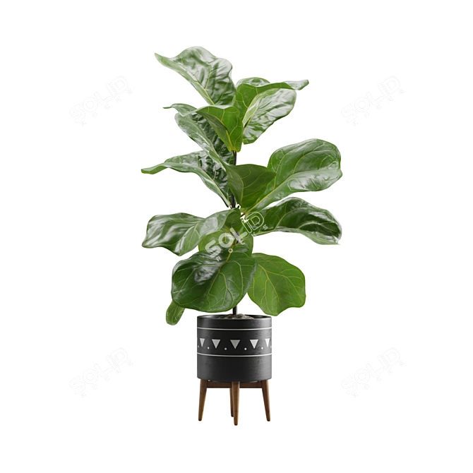 Exotic Indoor Plants Pack 17 3D model image 5