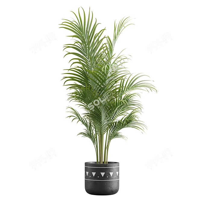 Exotic Indoor Plants Pack 17 3D model image 7