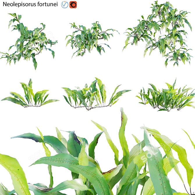 Archive 3D Models Collection Textures 3D model image 1