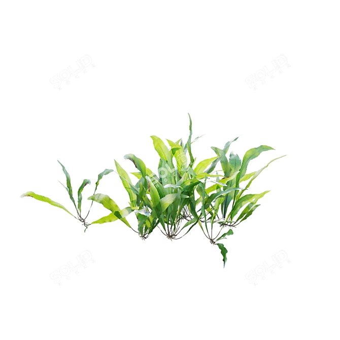 Archive 3D Models Collection Textures 3D model image 4