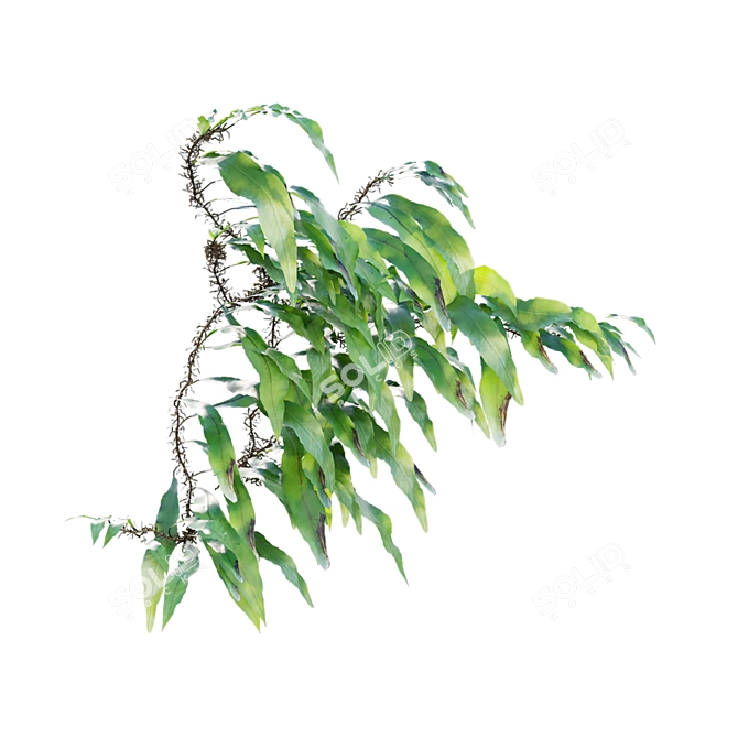 Archive 3D Models Collection Textures 3D model image 5