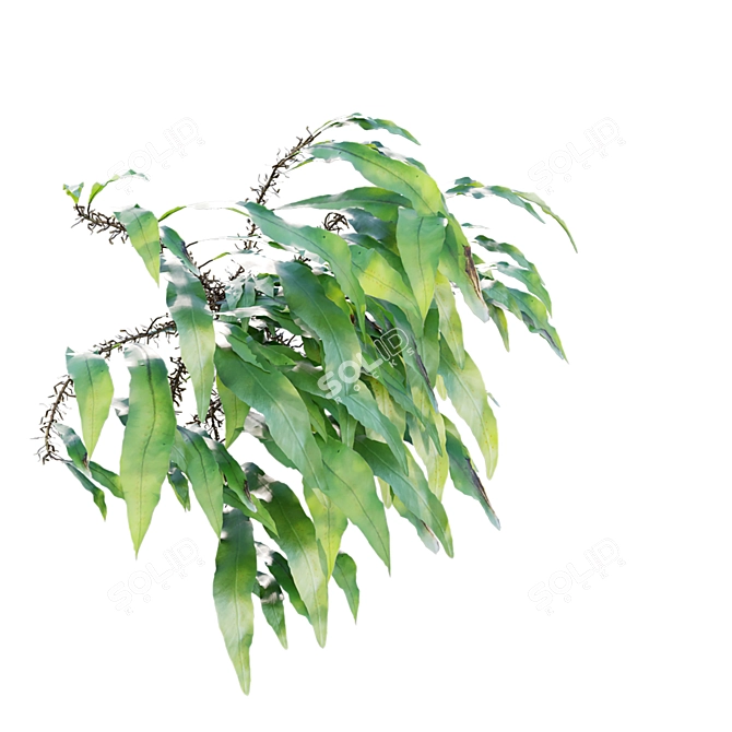 Archive 3D Models Collection Textures 3D model image 6