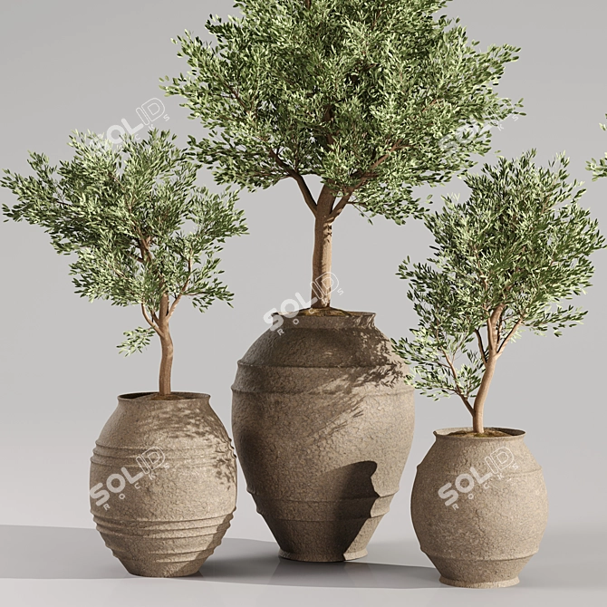 Premium Indoor Plants Collection 06 3D model image 2