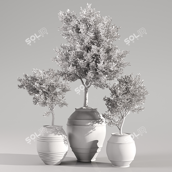Premium Indoor Plants Collection 06 3D model image 3
