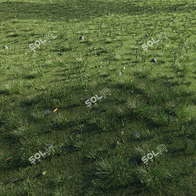 Eco-Scatter Grass Kit 3D model image 1