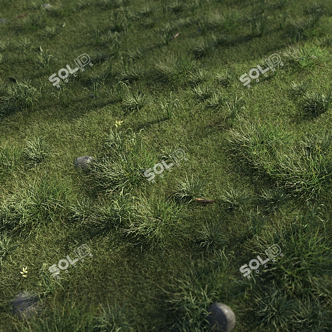 Eco-Scatter Grass Kit 3D model image 3