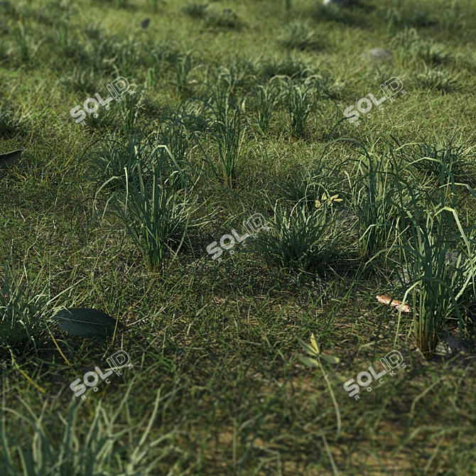 Eco-Scatter Grass Kit 3D model image 4