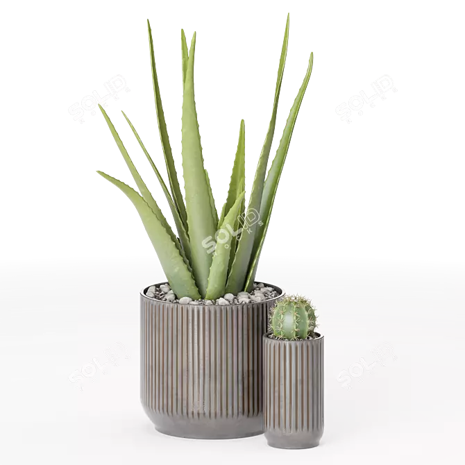 Decor Plants Set in Pots 3D model image 1