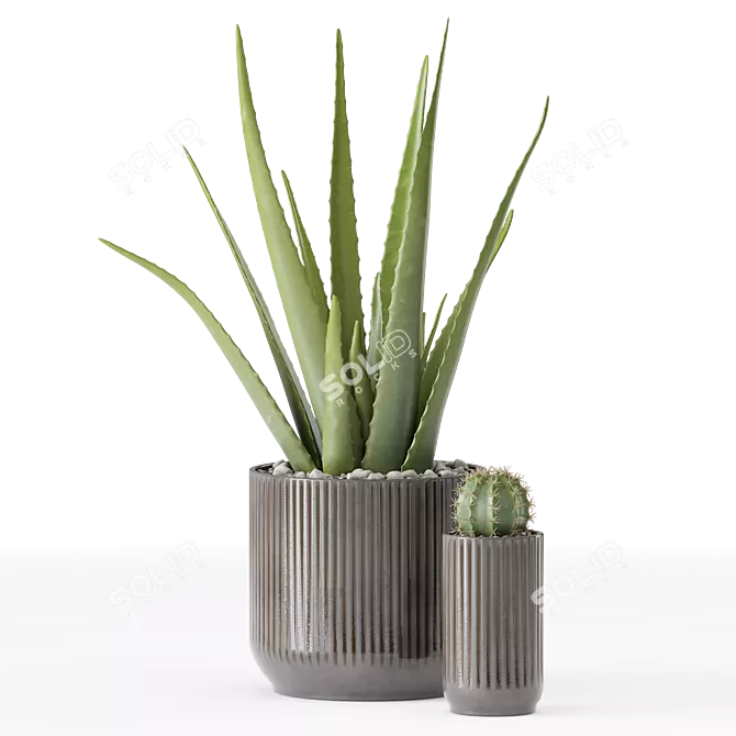 Decor Plants Set in Pots 3D model image 2