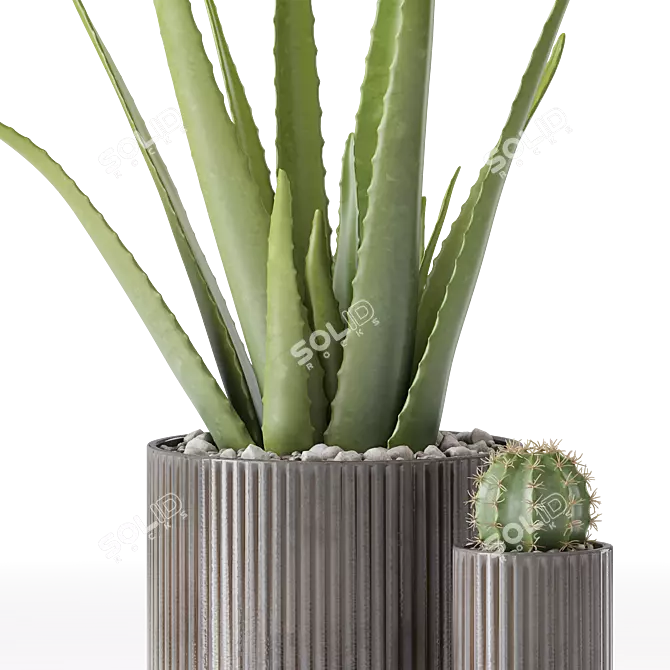 Decor Plants Set in Pots 3D model image 3