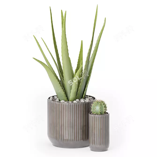 Decor Plants Set in Pots 3D model image 5