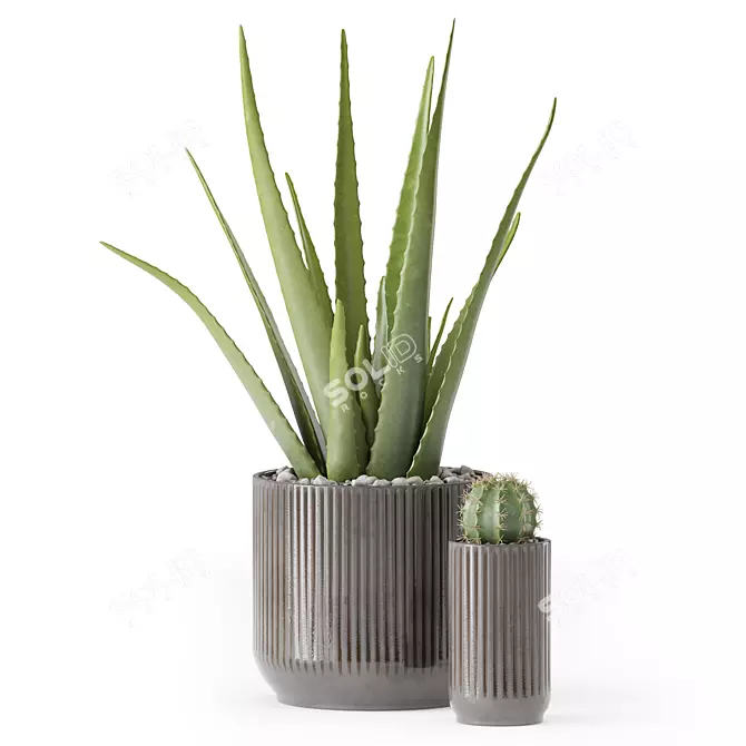 Decor Plants Set in Pots 3D model image 6