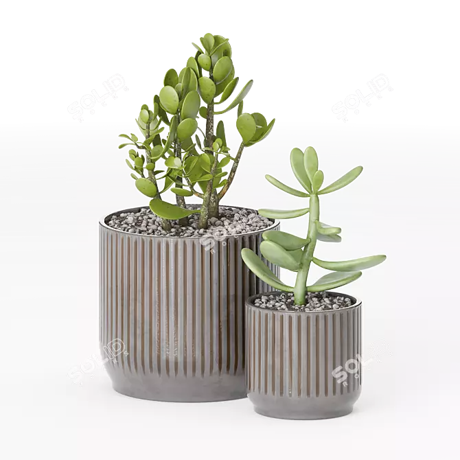 Chic Indoor Plants in Decorative Pots 3D model image 1