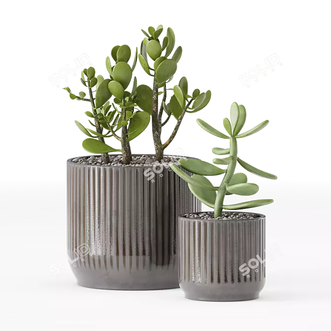 Chic Indoor Plants in Decorative Pots 3D model image 2