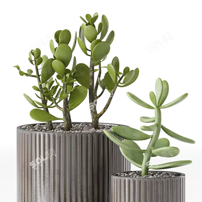 Chic Indoor Plants in Decorative Pots 3D model image 3