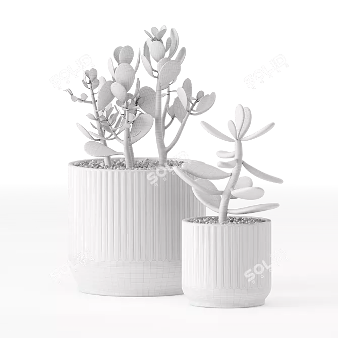 Chic Indoor Plants in Decorative Pots 3D model image 4