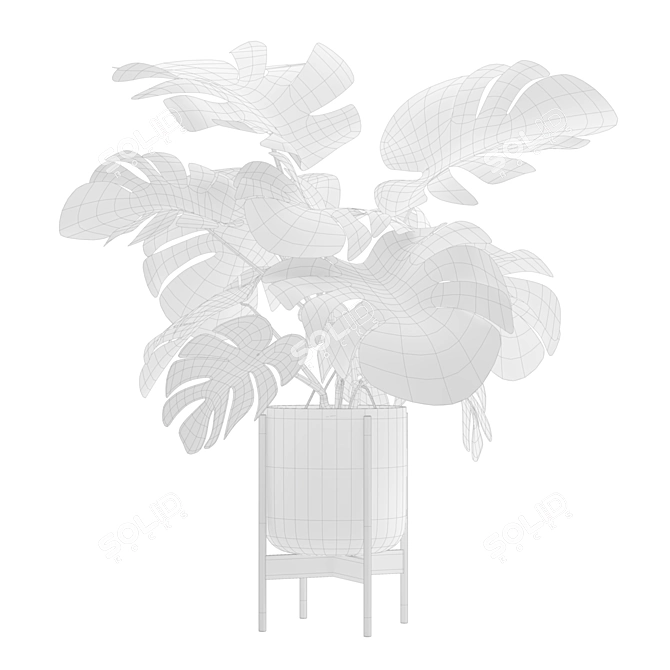 Tropical Monstera Houseplant Deluxe 3D model image 3