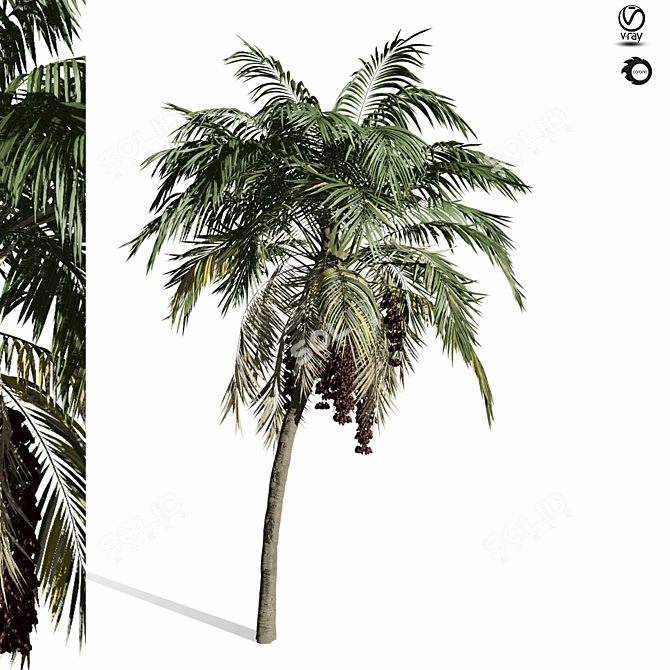 Forest Palm Tree Sculpture - 1150cm 3D model image 1