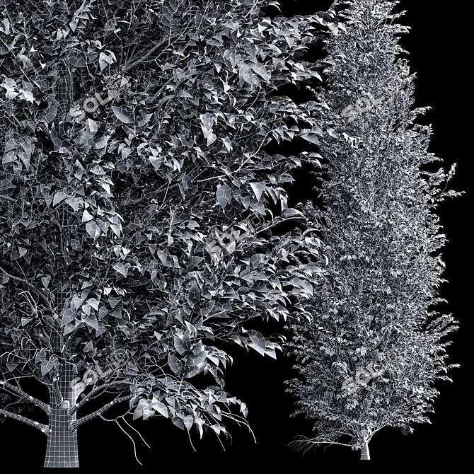 High Detail Carpinus Betulus Tree 3D model image 3