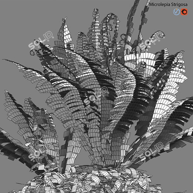 Fern 3D Models Bundle Pack 3D model image 3