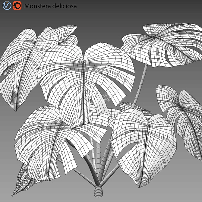 Tropical Plant 3D Model Set 3D model image 3