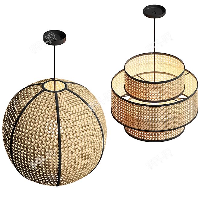 Ellos Home Pendant Light Duo 3D model image 3