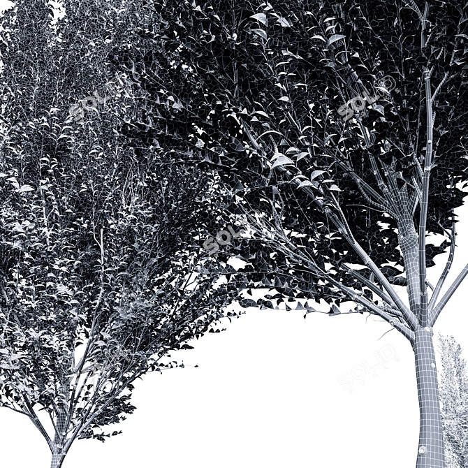 Detailed Carpinus Betulus Tree Model 3D model image 4