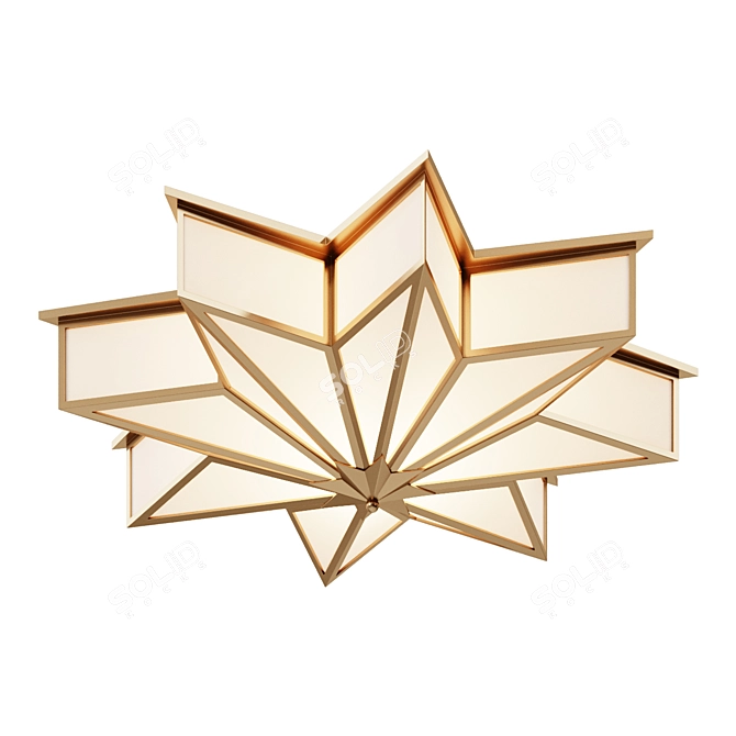 Glass Star Ceiling Light Fixture 3D model image 1