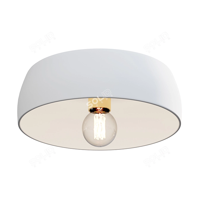 Ceramic Ceiling Light Fixture 3D model image 1