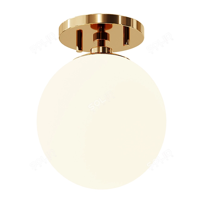 Globe Minimalist Ceiling Light Fixture 3D model image 1