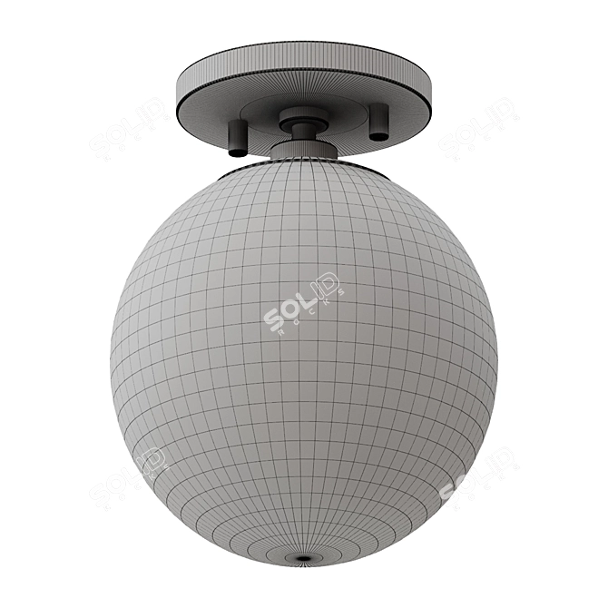 Globe Minimalist Ceiling Light Fixture 3D model image 2