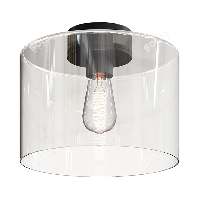 Simplicity Glass Ceiling Light - FM17015 BZ 3D model image 1