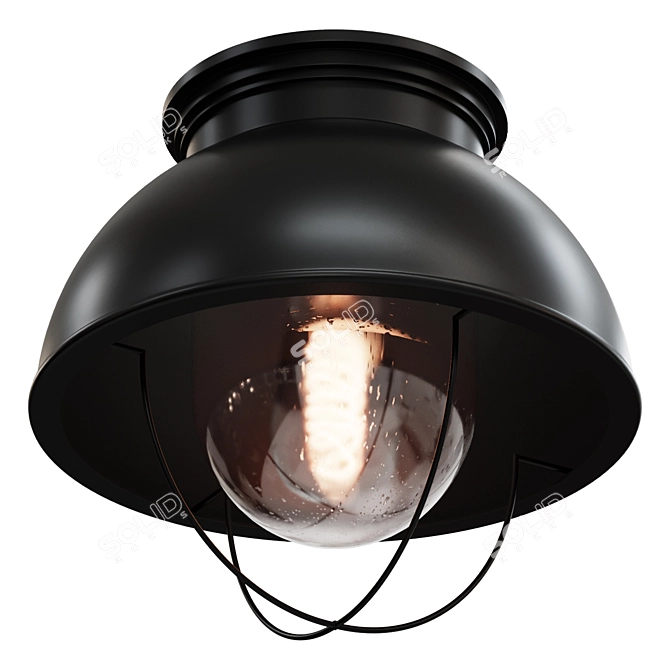 NANTUCKET Black Ceiling Light 3D model image 1