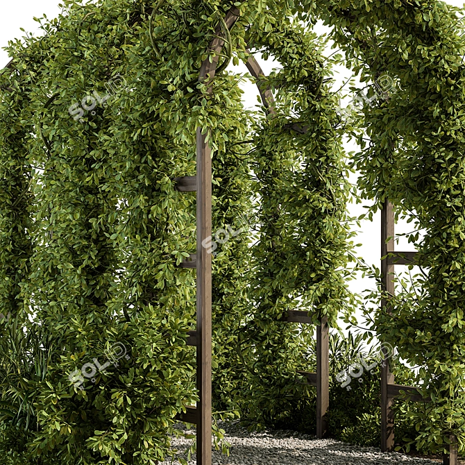 Outdoor Oasis Pergola Plant Set 3D model image 2