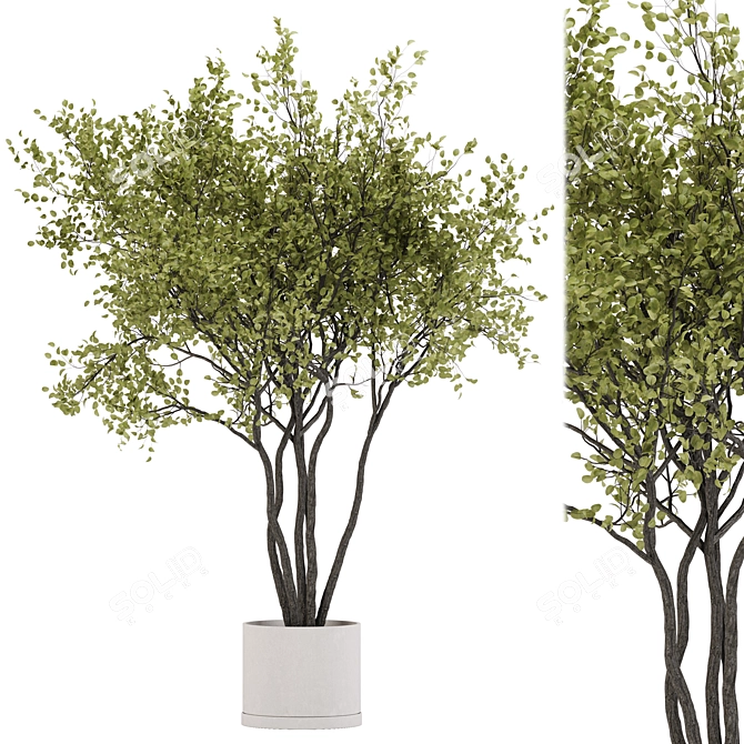 31-Piece Indoor Plant Set 3D model image 1