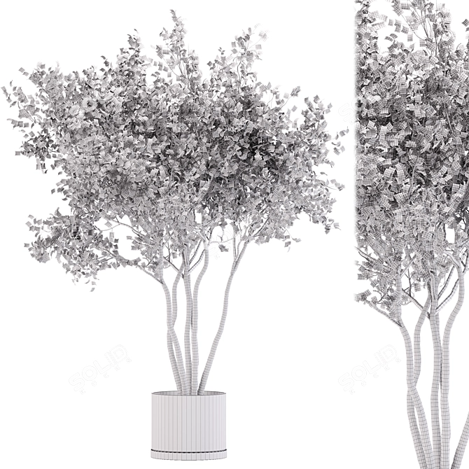 31-Piece Indoor Plant Set 3D model image 4