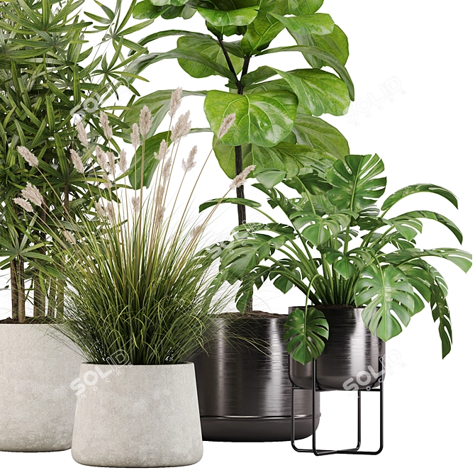 Modern Indoor Plant Set 32 3D model image 4