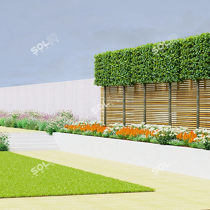 European Beech Pleached Trees 3D model image 4