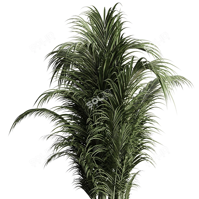 Modern Palm Plant Pot Vase 3D model image 3