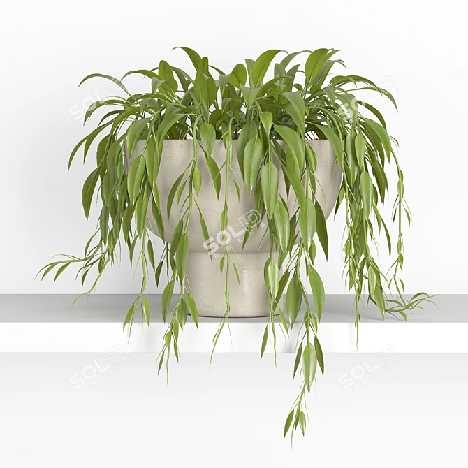 Modern Hanging Plant Shelf Stand 3D model image 2