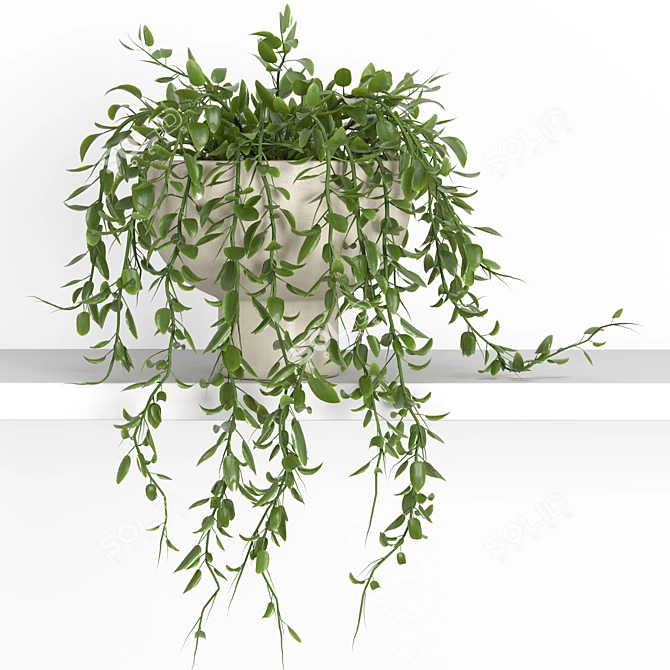 Modern Hanging Plant Shelf Stand 3D model image 3