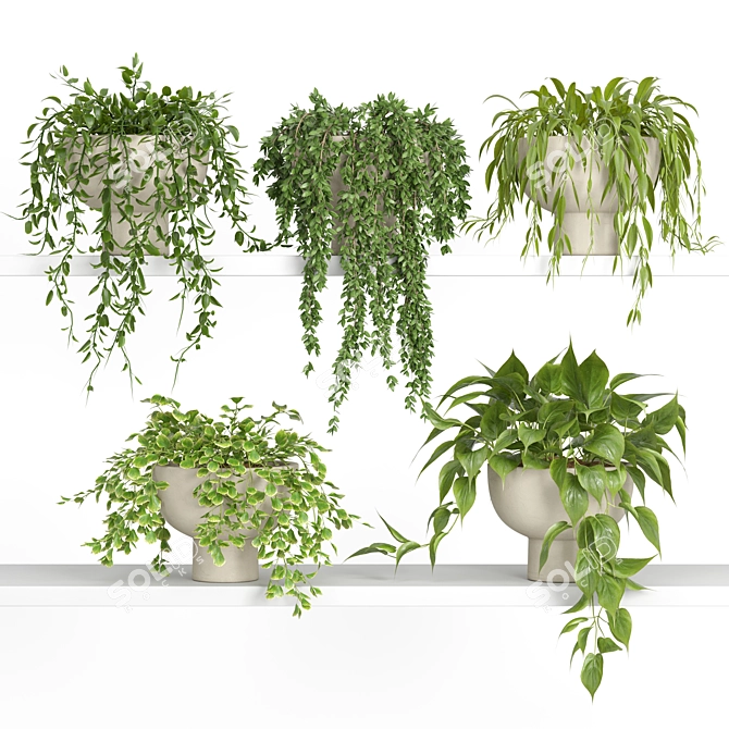 Modern Hanging Plant Shelf Stand 3D model image 5