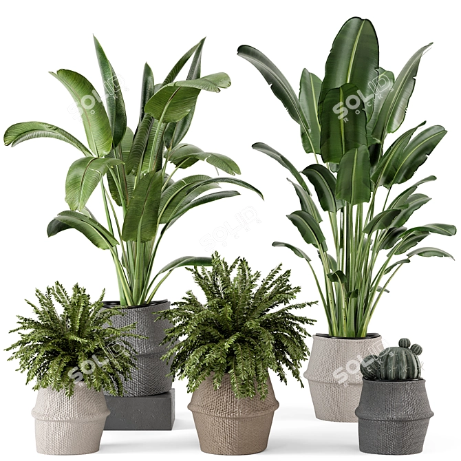 Lush Indoor Plants Wicker Pot 3D model image 1