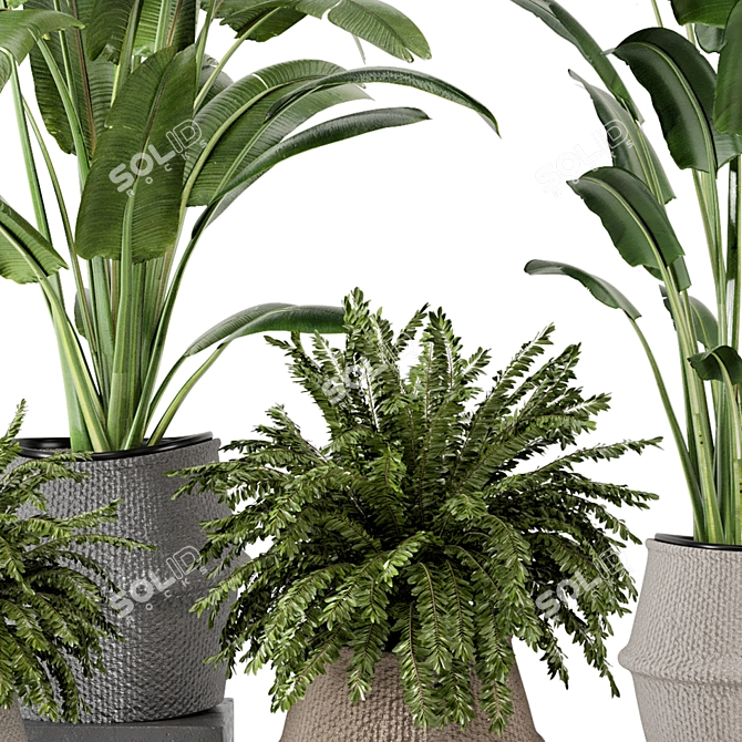 Lush Indoor Plants Wicker Pot 3D model image 4