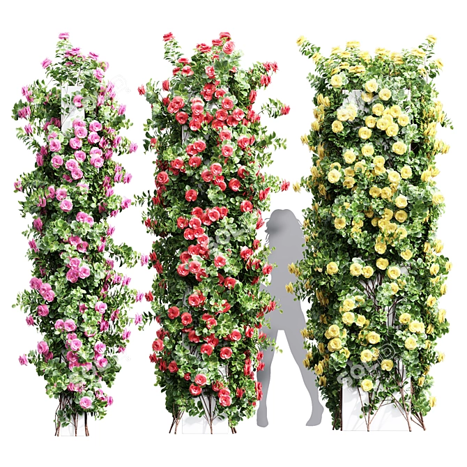 Luxury Climbing Roses Columns Set 3D model image 1