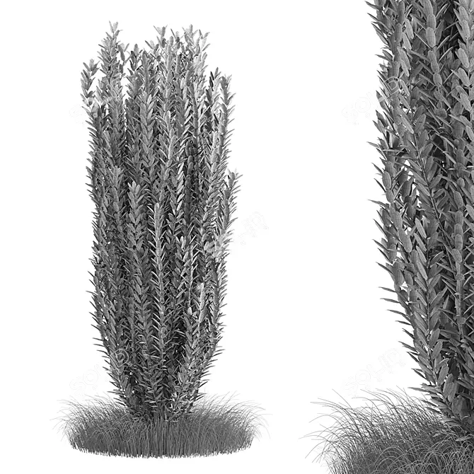 Sleek Bush No.4 Design 3D model image 2