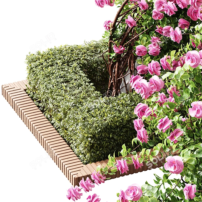 Climbing Roses Garden Bow Set 3D model image 4