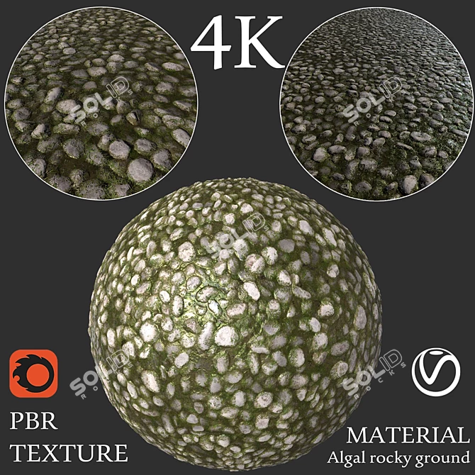 Seamless Algal Rock Texture Kit 3D model image 1