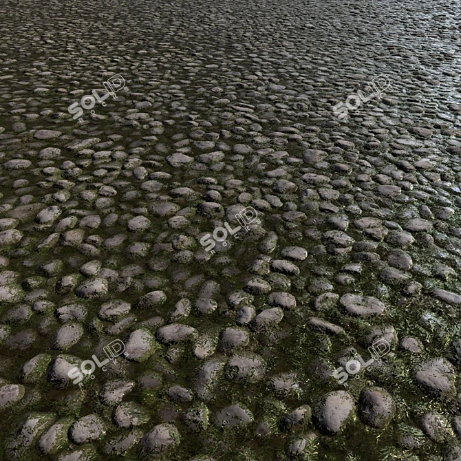 Seamless Algal Rock Texture Kit 3D model image 2