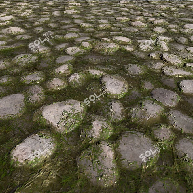 Seamless Algal Rock Texture Kit 3D model image 3